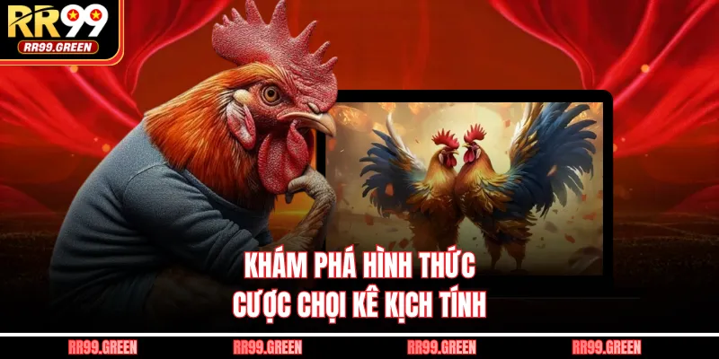 Khám phá hình thức cược chọi kê kịch tính